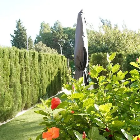 Appartement Amazing Direct Pool Acces